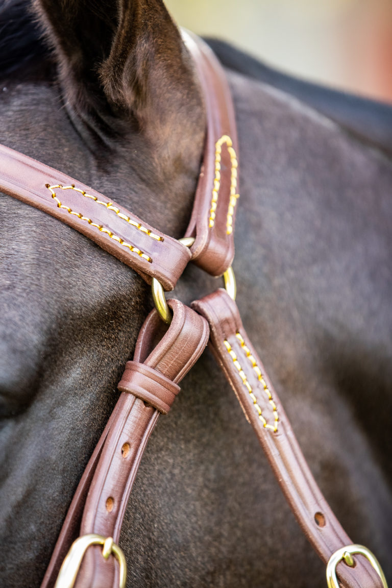 New! Barcoo Leather Bridle main image 0